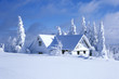 Photo en ligne au meilleur prix cottage in winter, Orlicke hory, Czech Republic