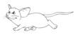 Maus, Ratte, Nagetier, Nager, flink, schnell Maus, Ratte, Nagetier, Nager, flink, schnell
