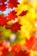 beautiful bright autumn season beautiful bright autumn season