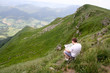 Randonnée dans le Cantal (Puy Chavaroche) Randonnée dans le Cantal (Puy Chavaroche)