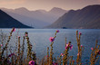 Bay of Kotor at morning. Montenegro