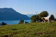 Vue depuis la grande Molière - Lac du Bourget