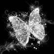 abstract glamorous butterfly on a black background abstract glamorous butterfly on a black background