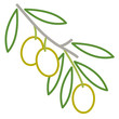 Olives sur une branche en contour