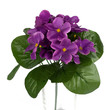 Purple flower
