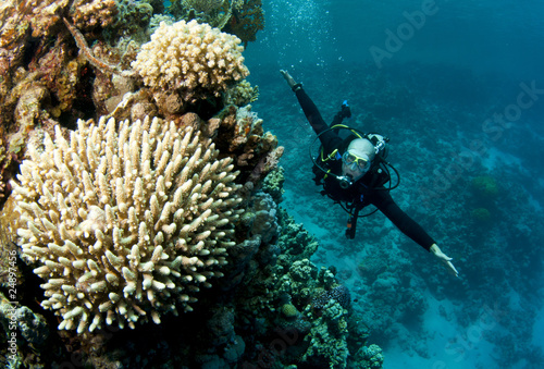 Photo: scuba diver scuba diver