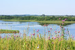 beautiful lake beautiful lake