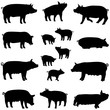 porc truie et porcelet silhouette pack