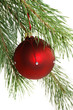 red christmas toy