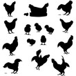 coq poule et poussin silhouette pack