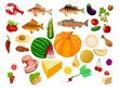 big food collection