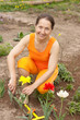 woman doing work in her garden woman doing work in her garden