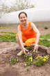 elderly Woman Gardening elderly Woman Gardening