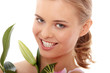 Portrait of the attractive girl Portrait of the attractive girl