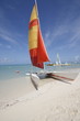 catamarano aruba