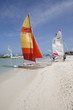 catamarano aruba