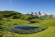 Naturlandschaft