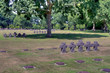 Cimetière allemand - La Cambe Cimetière allemand - La Cambe