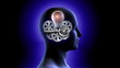 Ideas And Inspiration