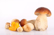 Pilz