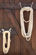Foto: lasso ropes at stable door lasso ropes at stable door