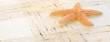 Starfish on background Starfish on background