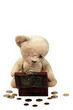 Teddy zählt Geld