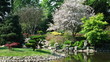 Japanese garden Japanese garden