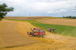 Harvest.