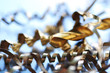 Foto: Industrie Industrie