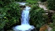 Provence12