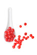 Berries of a red currant