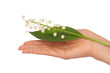 lily of the valley