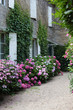 jardin fleuri