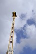 luna park fun