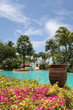 beautiful holiday