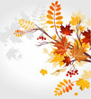 Autumn background