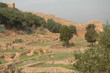 Nécropole mérinide du Chellah / Mérinid necropolis of Chellah