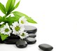 Still life with bamboo leaf, daisy and pebbles