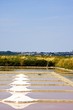 Marais salants de Guérande (Loire-Atlantique)