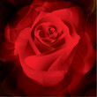 Vector Floral Background Vector Floral Background
