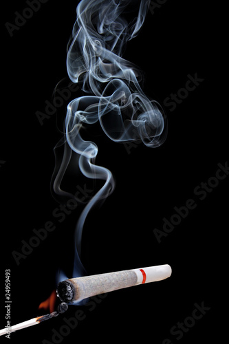 Photo: Marijuana Marijuana