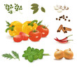 Group of vegetables and spice collection. Vector. Group of vegetables and spice collection. Vector.