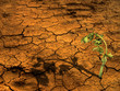 Photo: Global warming concept Global warming concept