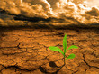 Photo: Global warming concept Global warming concept