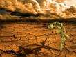 Photo: Global warming concept Global warming concept