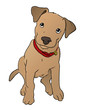 Cute Puppy Illustration Cute Puppy Illustration