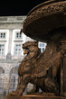 Llion fountain on Praca de Gomes at night, Porto Portugal Llion fountain on Praca de Gomes at night, Porto Portugal