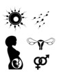 reproduce vector symbols