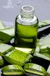 Spa still life with green leaf of aloe with lotion